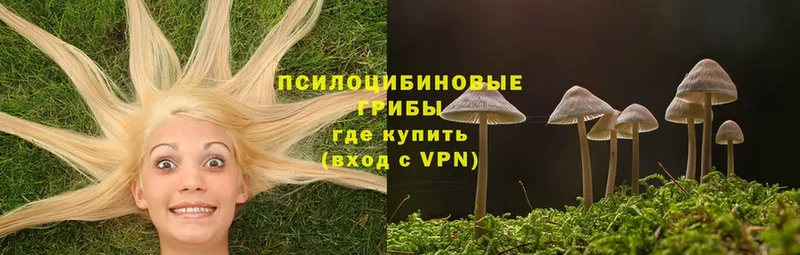 shop формула  сколько стоит  Верхоянск  Галлюциногенные грибы Psilocybine cubensis 